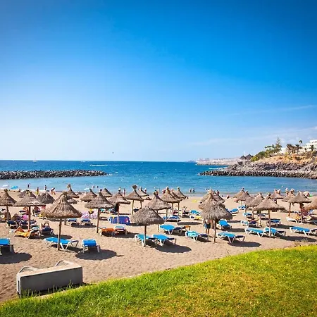 New Nice In Playa De Las Americas * Arona (Tenerife)