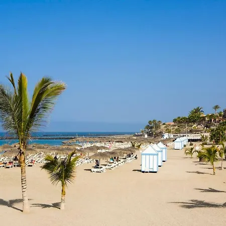 Lägenhet New Nice In Playa De Las Americas Arona (Tenerife)