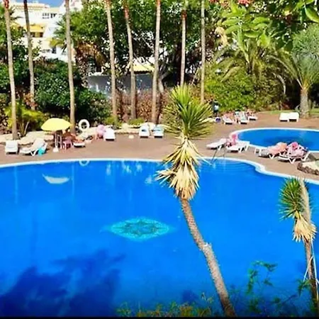 New Nice In Playa De Las Americas Lägenhet *